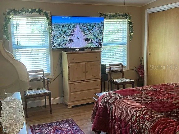 2808 Manatee Road Tavares FL 32778 O6312497 image20