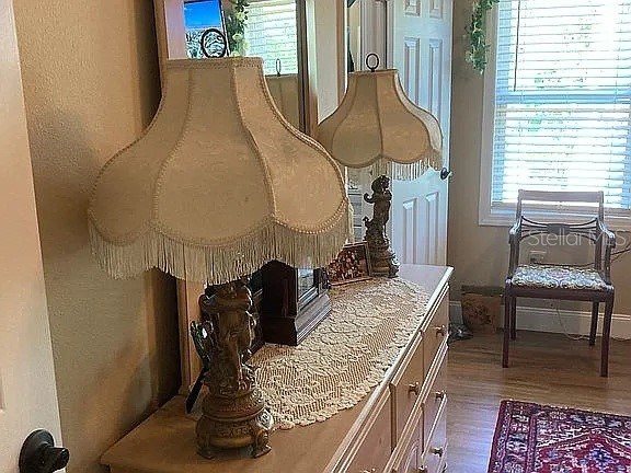 2808 Manatee Road Tavares FL 32778 O6312497 image21