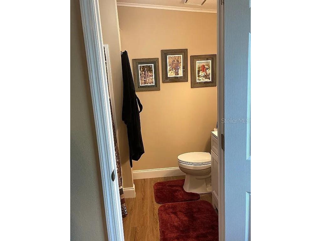 2808 Manatee Road Tavares FL 32778 O6312497 image22