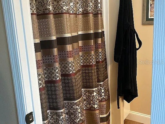 2808 Manatee Road Tavares FL 32778 O6312497 image24