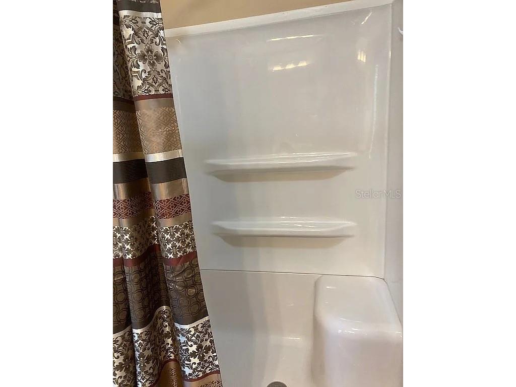 2808 Manatee Road Tavares FL 32778 O6312497 image25