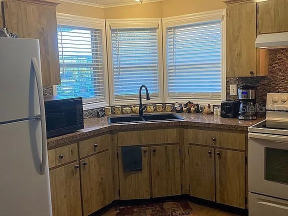 2808 Manatee Road Tavares FL 32778 O6312497 image27