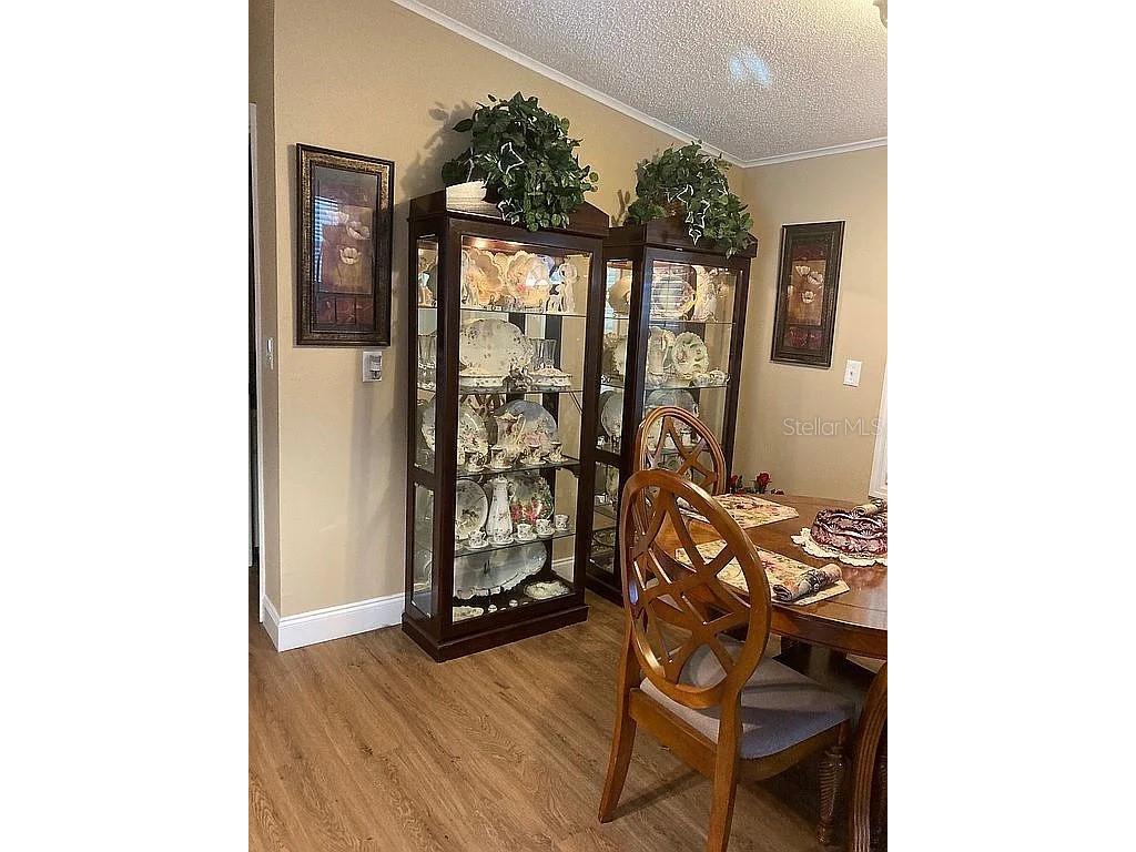 2808 Manatee Road Tavares FL 32778 O6312497 image28