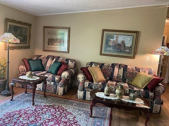 2808 Manatee Road Tavares FL 32778 O6312497 image3