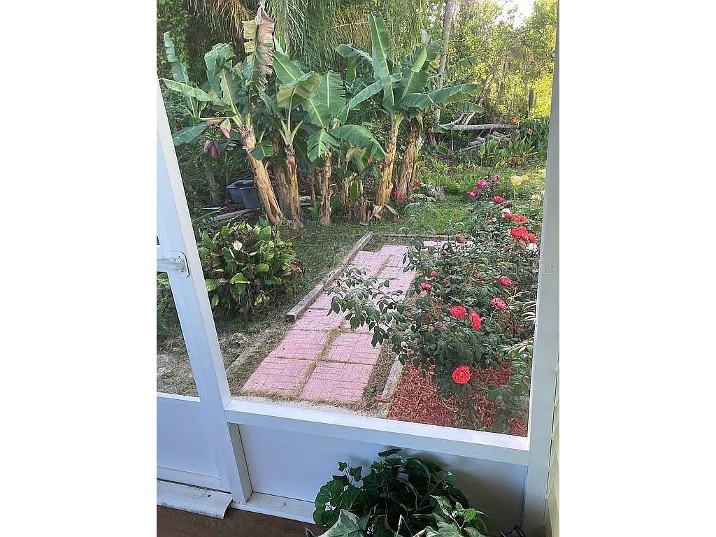 2808 Manatee Road Tavares FL 32778 O6312497 image31