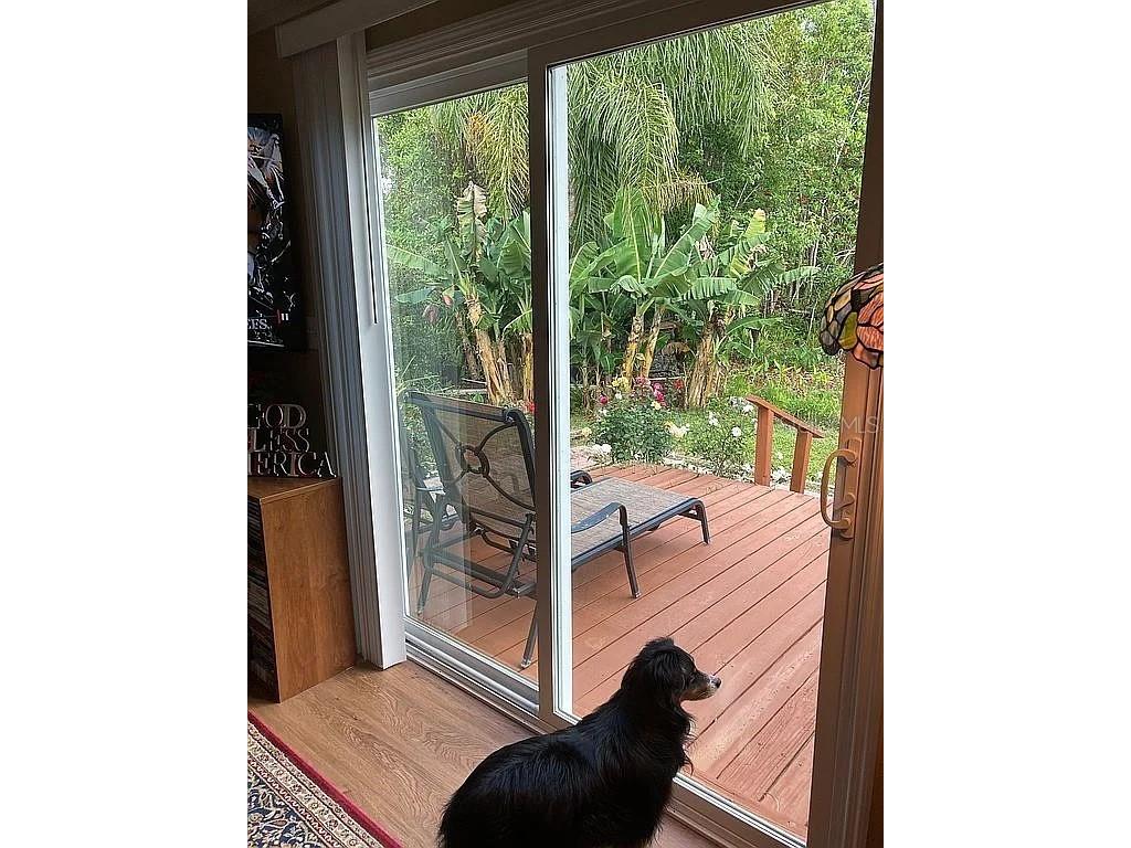 2808 Manatee Road Tavares FL 32778 O6312497 image5