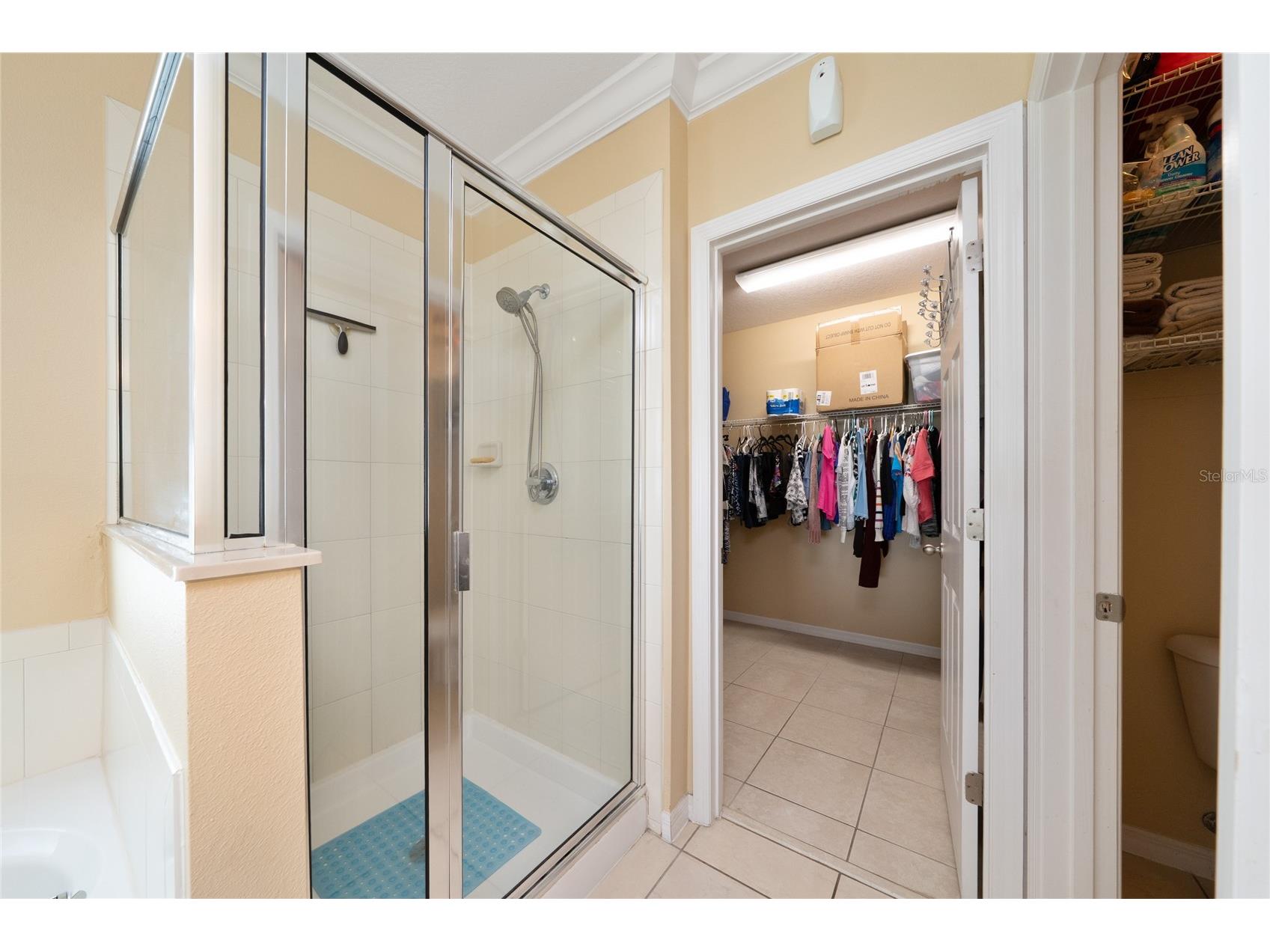 2808 Polson Drive Kissimmee FL 34758 S5152613 image28