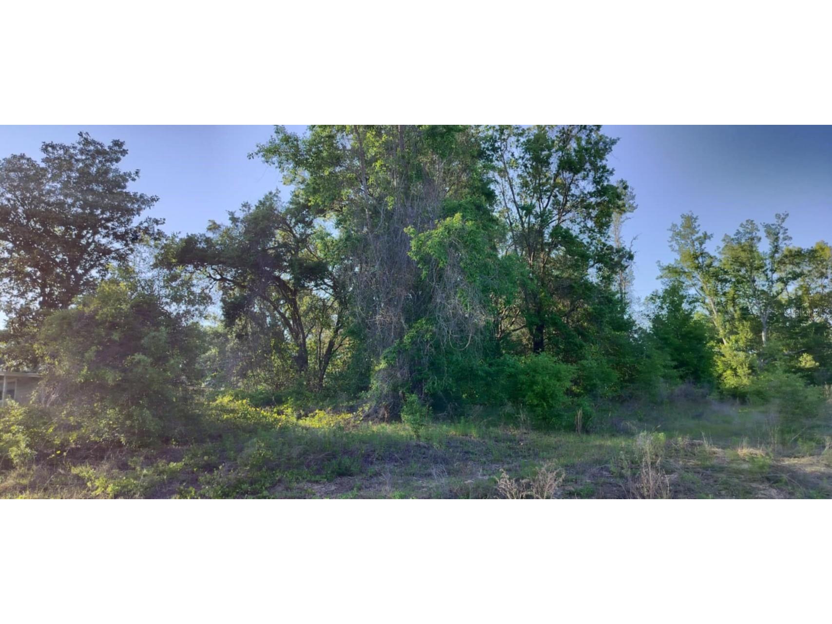 2808 Van Buren Street W Inverness FL 34453 TB8376078 image10