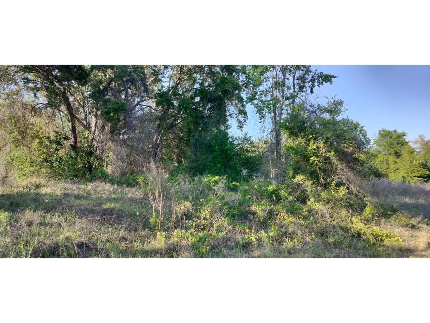 2808 Van Buren Street W Inverness FL 34453 TB8376078 image11