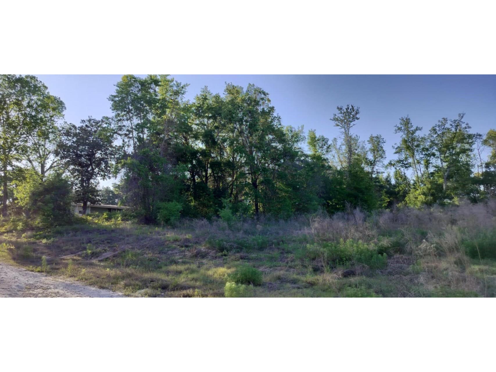 2808 Van Buren Street W Inverness FL 34453 TB8376078 image12