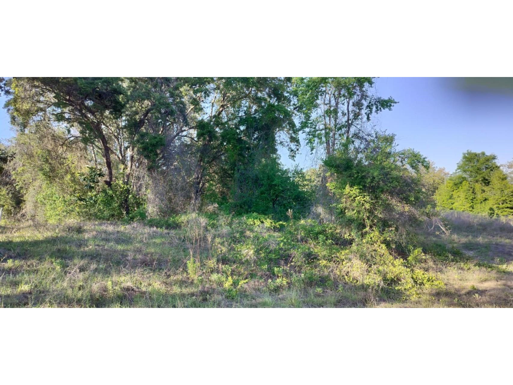 2808 Van Buren Street W Inverness FL 34453 TB8376078 image13