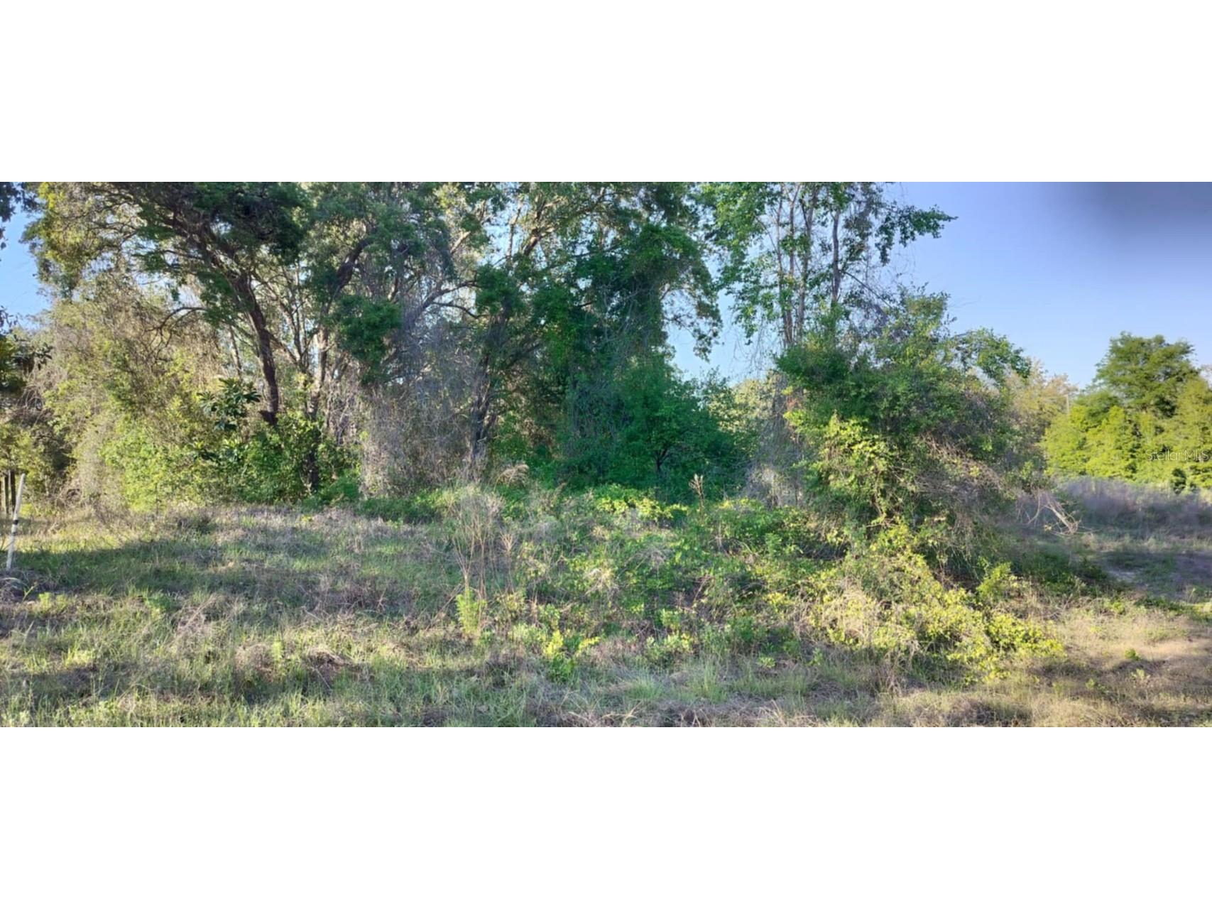 2808 Van Buren Street W Inverness FL 34453 TB8376078 image14