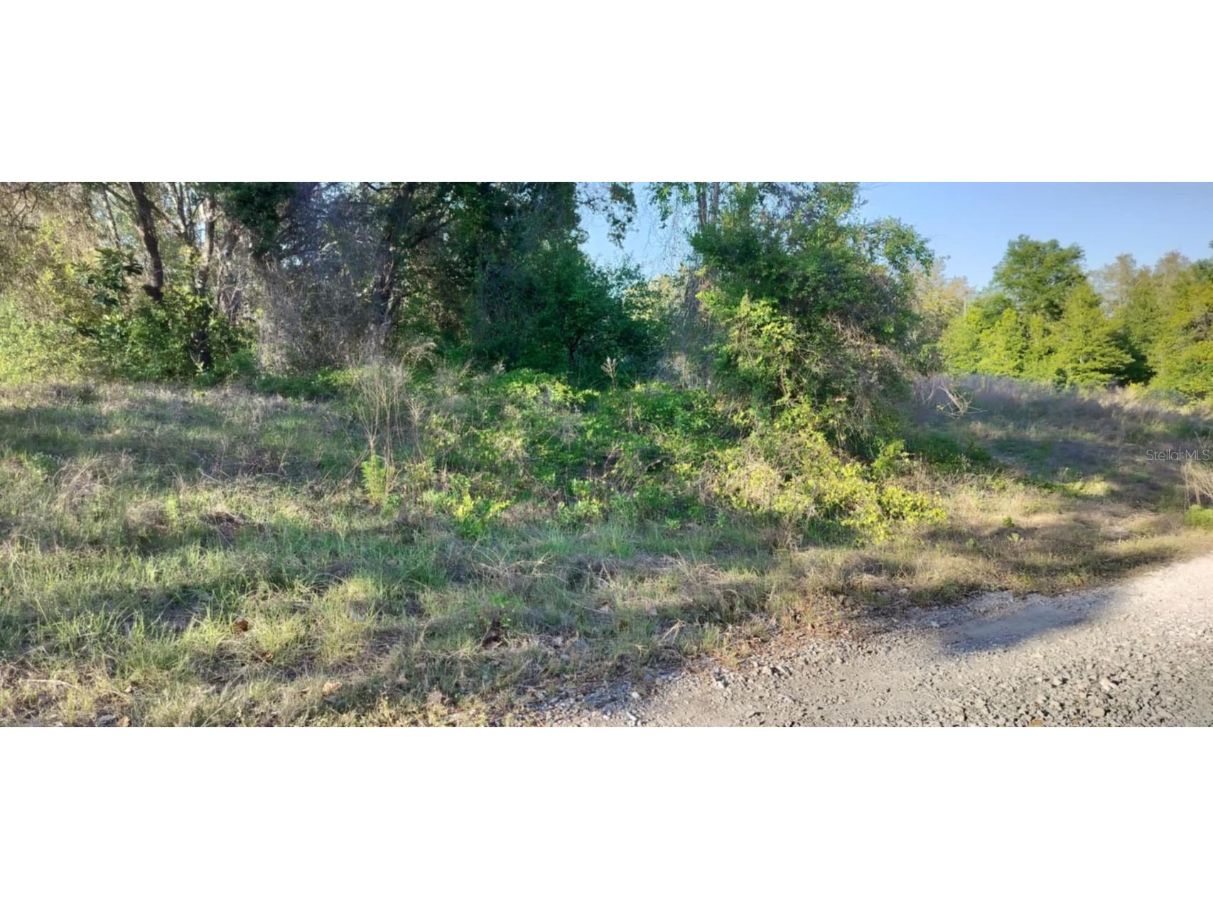 2808 Van Buren Street W Inverness FL 34453 TB8376078 image15