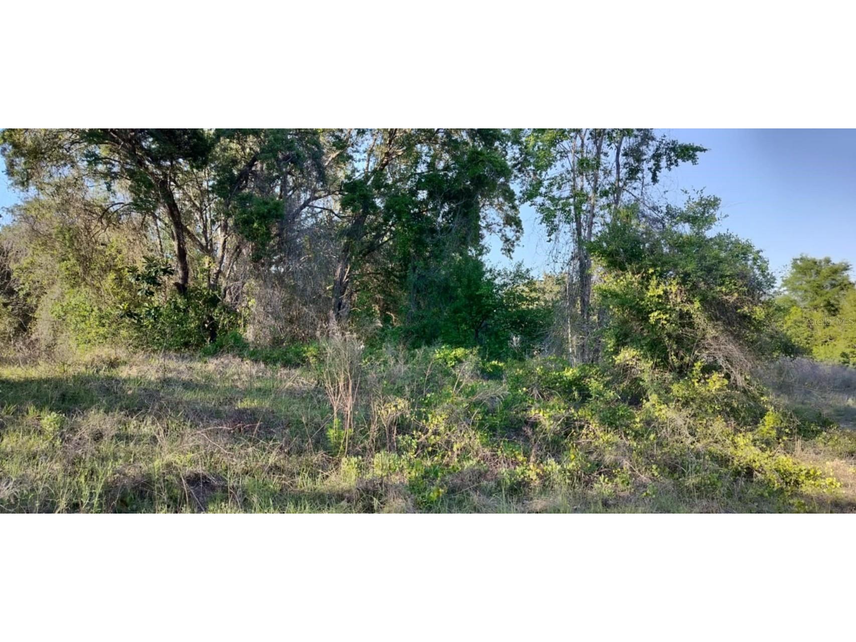 2808 Van Buren Street W Inverness FL 34453 TB8376078 image16