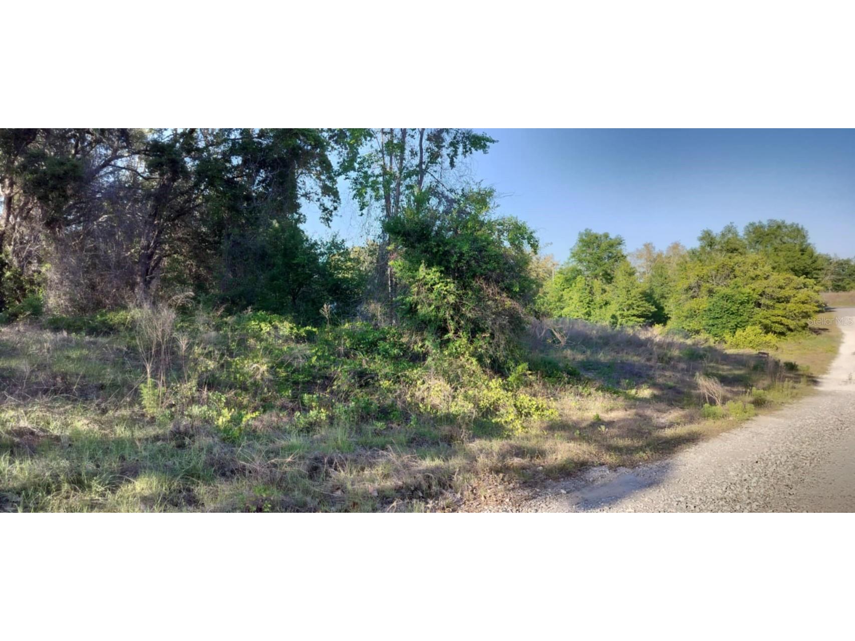 2808 Van Buren Street W Inverness FL 34453 TB8376078 image17