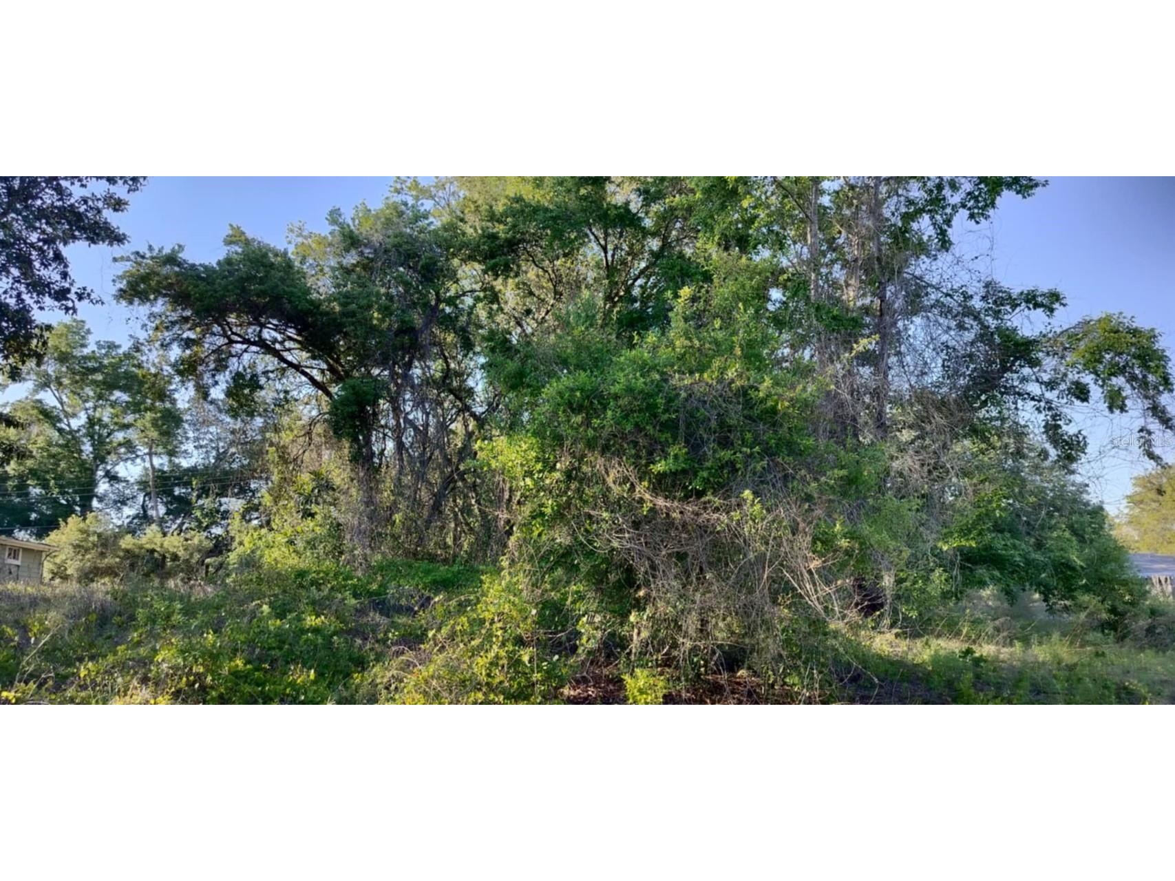 2808 Van Buren Street W Inverness FL 34453 TB8376078 image18