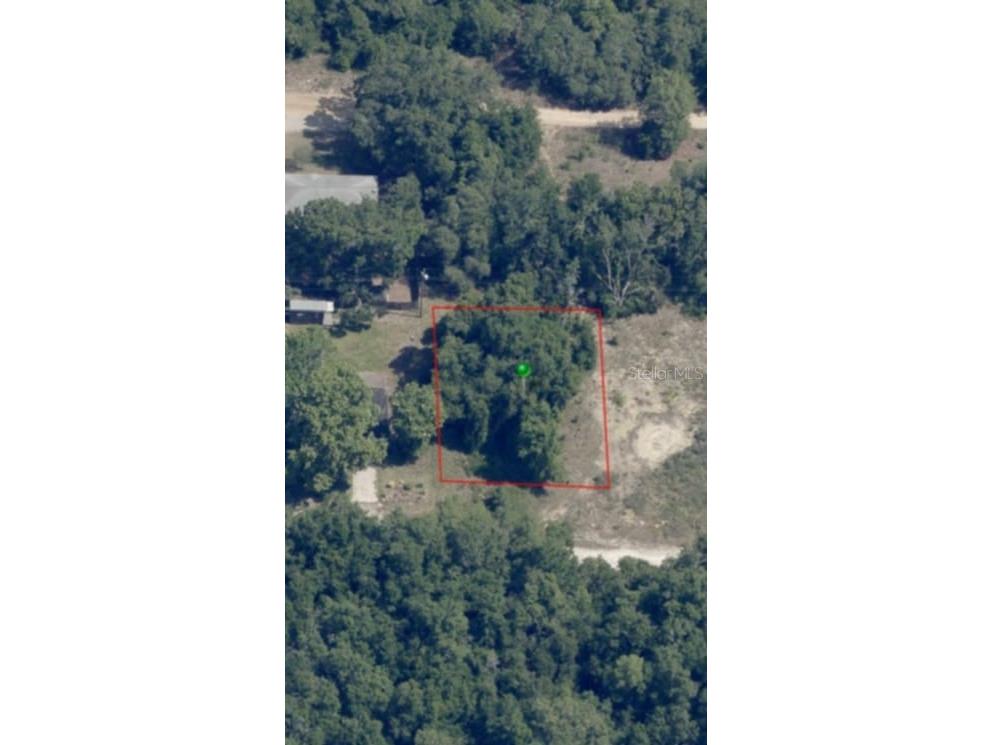 2808 Van Buren Street W Inverness FL 34453 TB8376078 image3