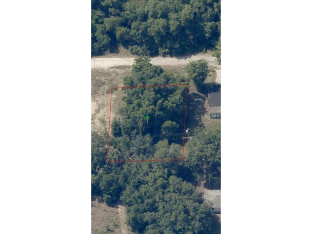 2808 Van Buren Street W Inverness FL 34453 TB8376078 image4