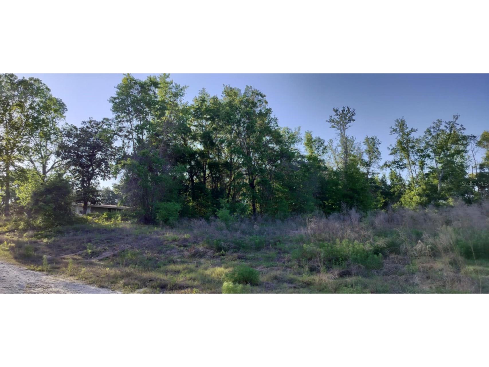 2808 Van Buren Street W Inverness FL 34453 TB8376078 image6