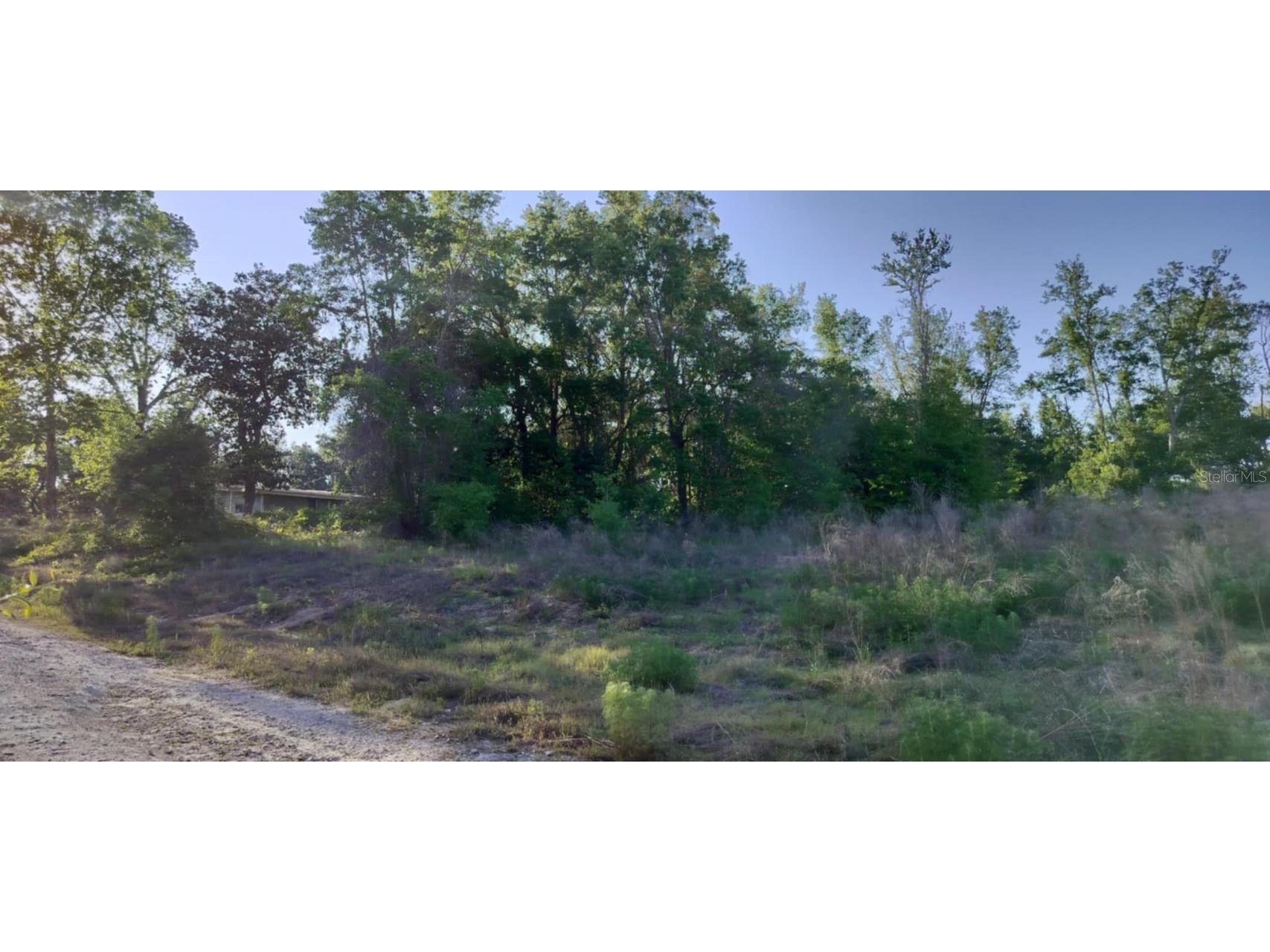 2808 Van Buren Street W Inverness FL 34453 TB8376078 image7