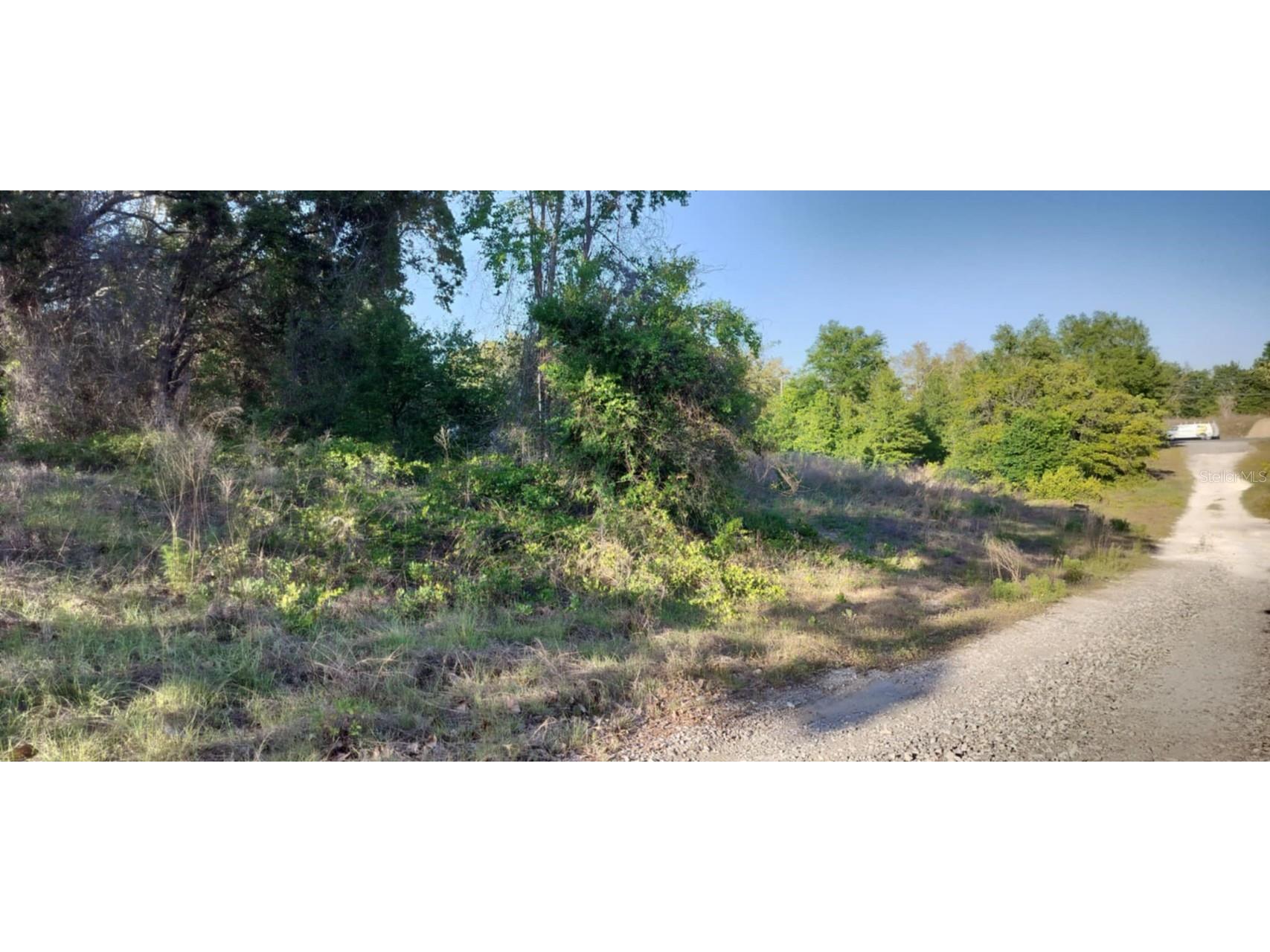 2808 Van Buren Street W Inverness FL 34453 TB8376078 image8