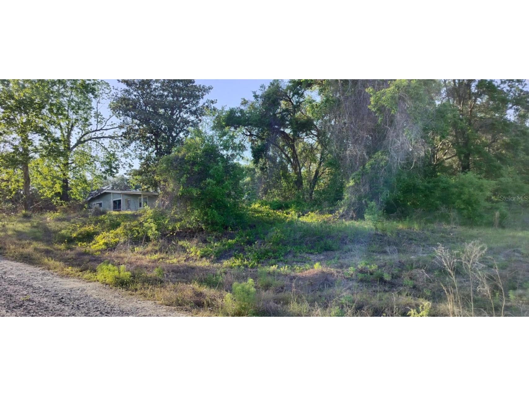 2808 Van Buren Street W Inverness FL 34453 TB8376078 image9