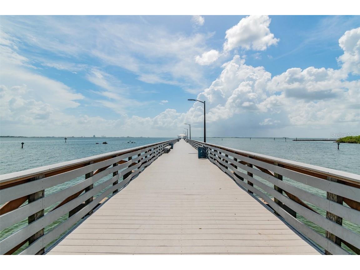 2808 W Pearl Avenue Tampa FL 33611 TB8453463 image54