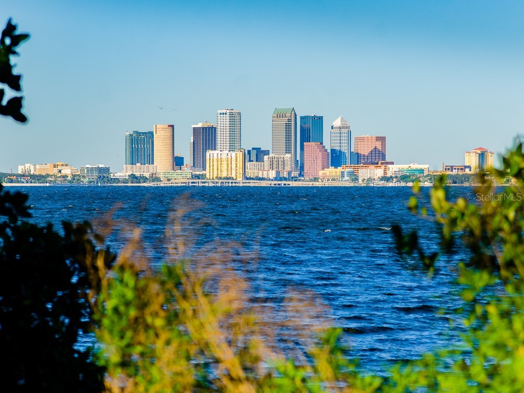 2808 W Pearl Avenue Tampa FL 33611 TB8453463 image55