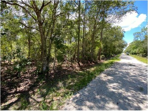 28085 Chrysalis Drive Punta Gorda FL 33955 C7482475 image1