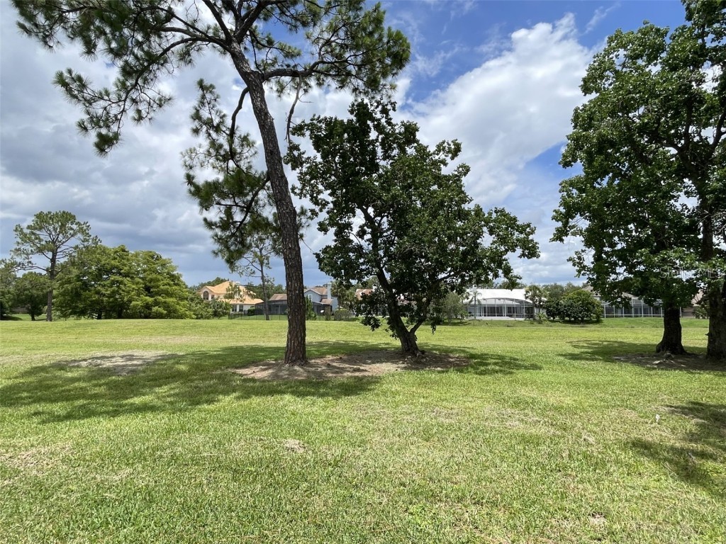 2809 Falling Tree Circle Orlando FL 32837 O6365071 image20