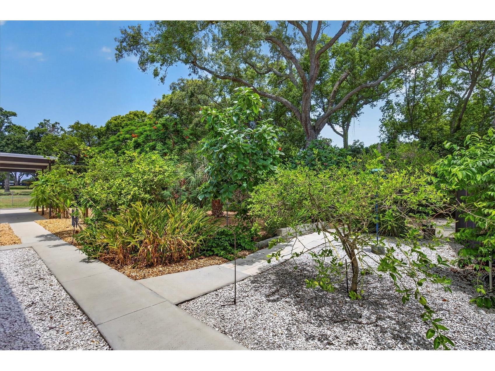 2809 Fleeman Road Palm Harbor FL 34683 TB8527738 image62