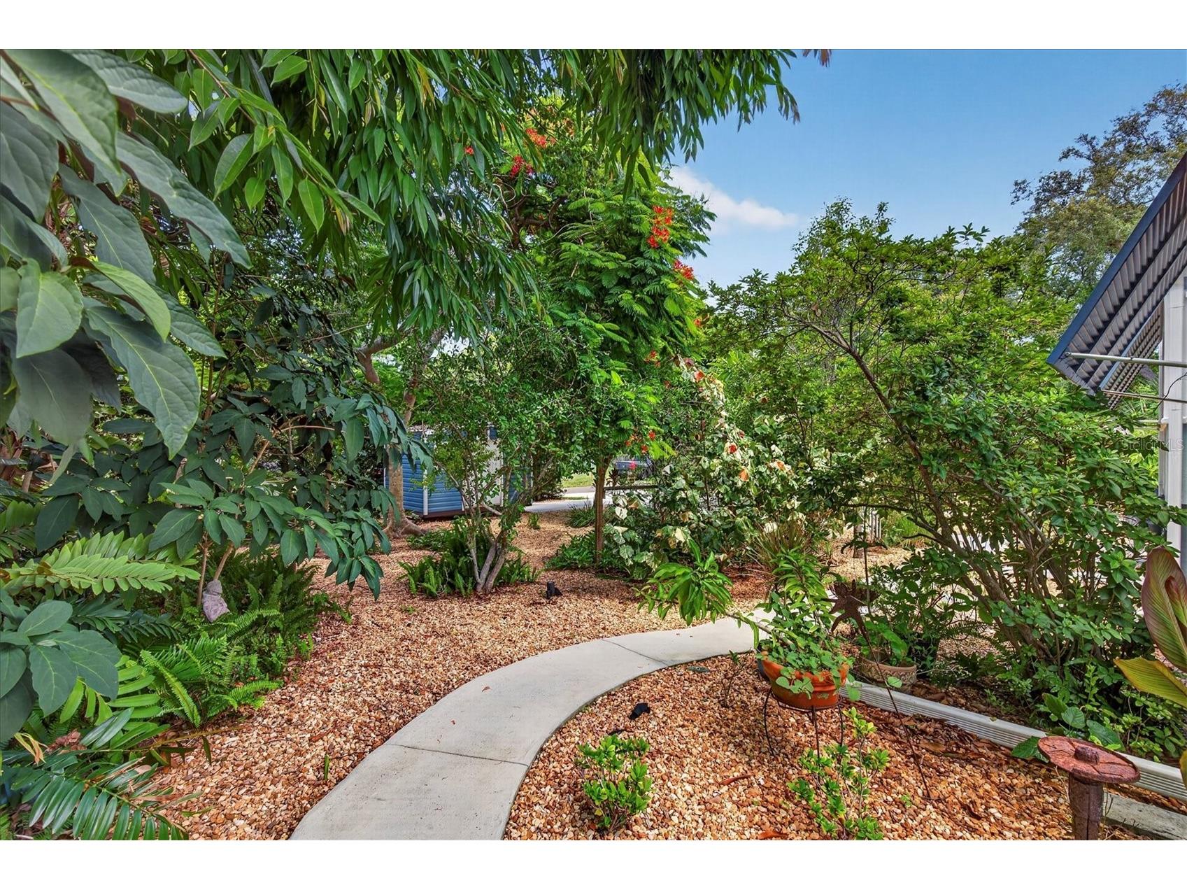 2809 Fleeman Road Palm Harbor FL 34683 TB8527738 image63