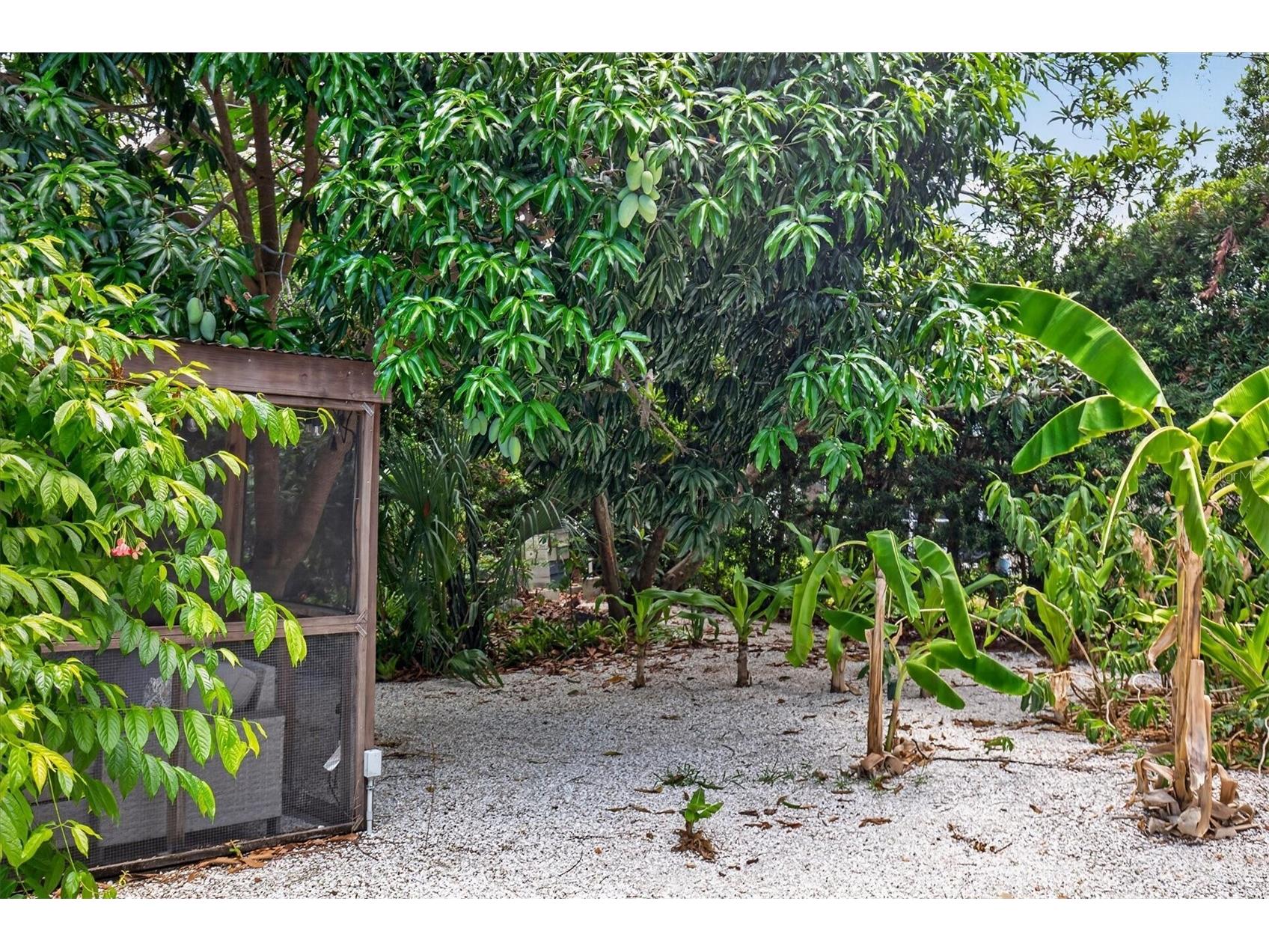 2809 Fleeman Road Palm Harbor FL 34683 TB8527738 image65