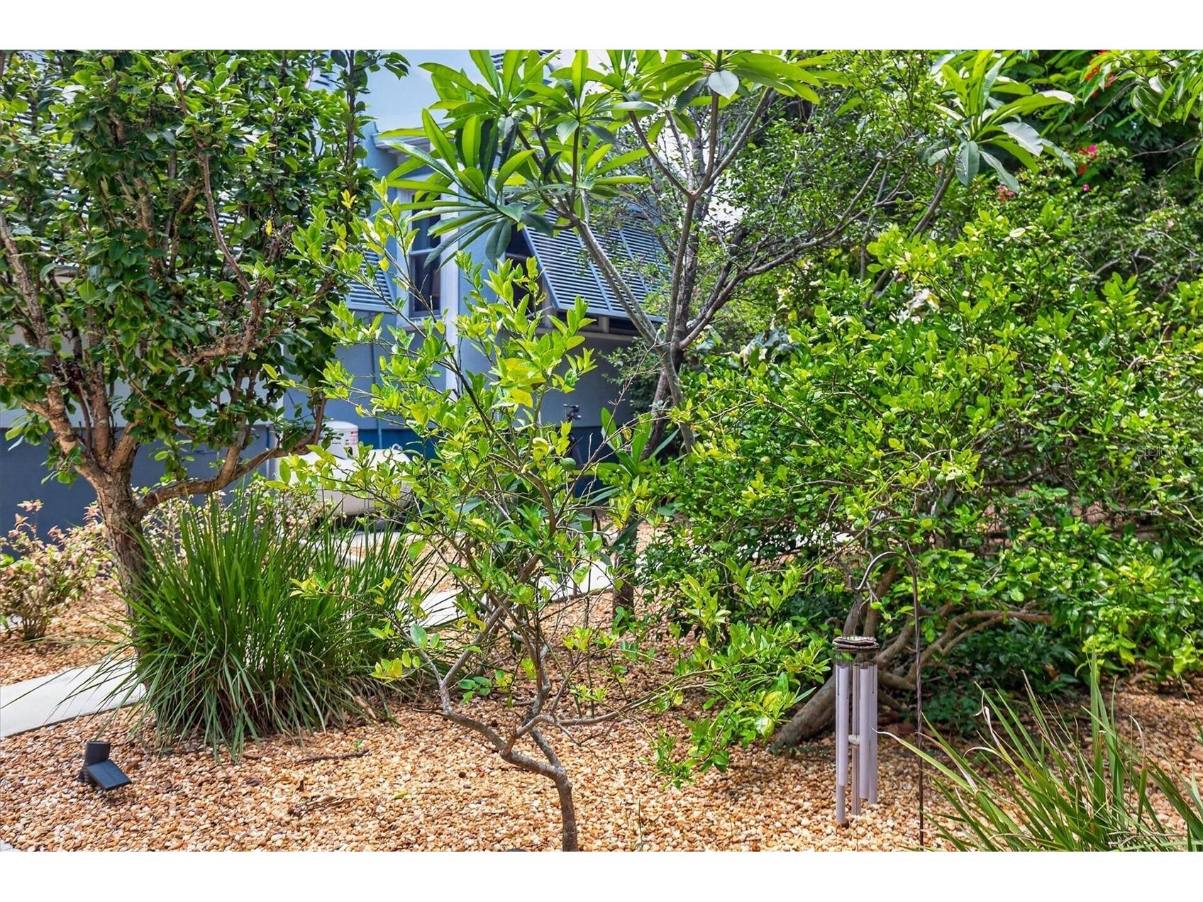 2809 Fleeman Road Palm Harbor FL 34683 TB8527738 image67