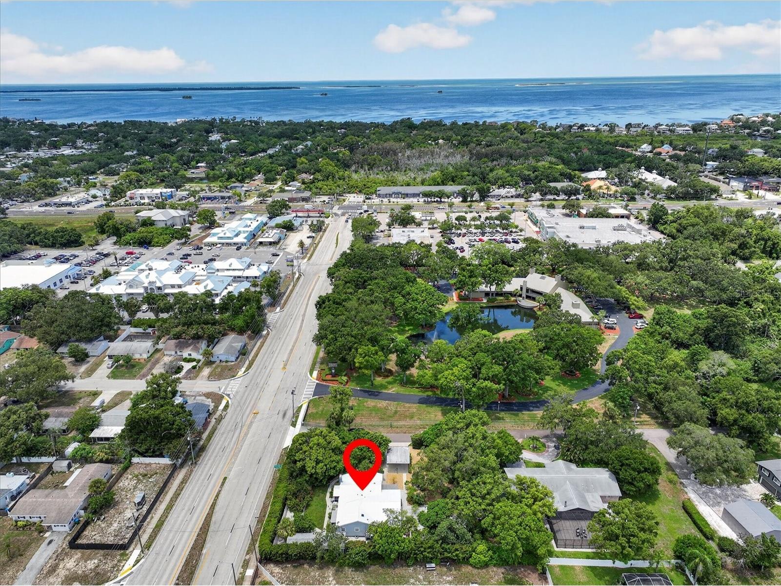 2809 Fleeman Road Palm Harbor FL 34683 TB8527738 image69