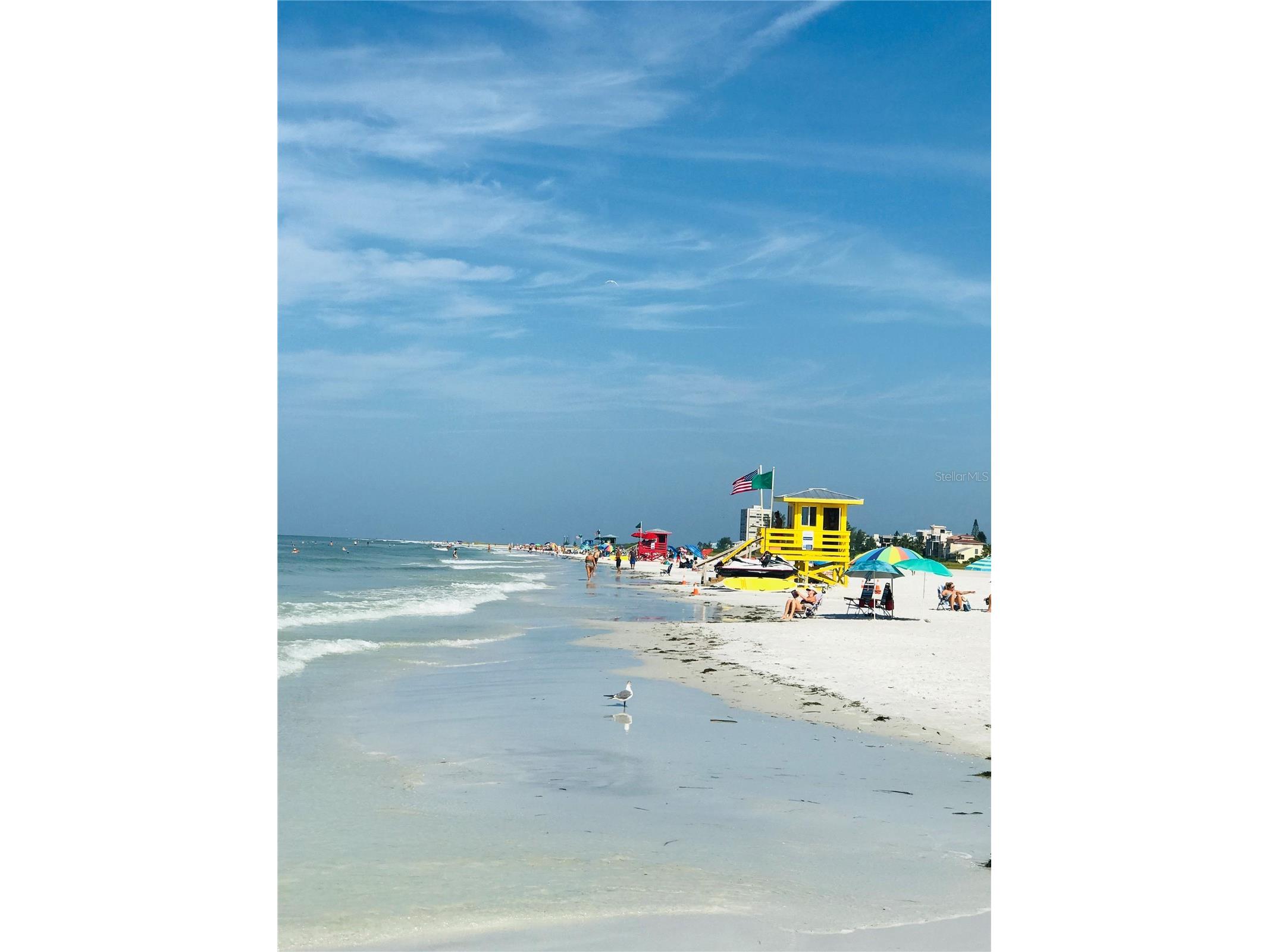 2809 Swifton Drive #4 Sarasota FL 34231 A4695978 image31