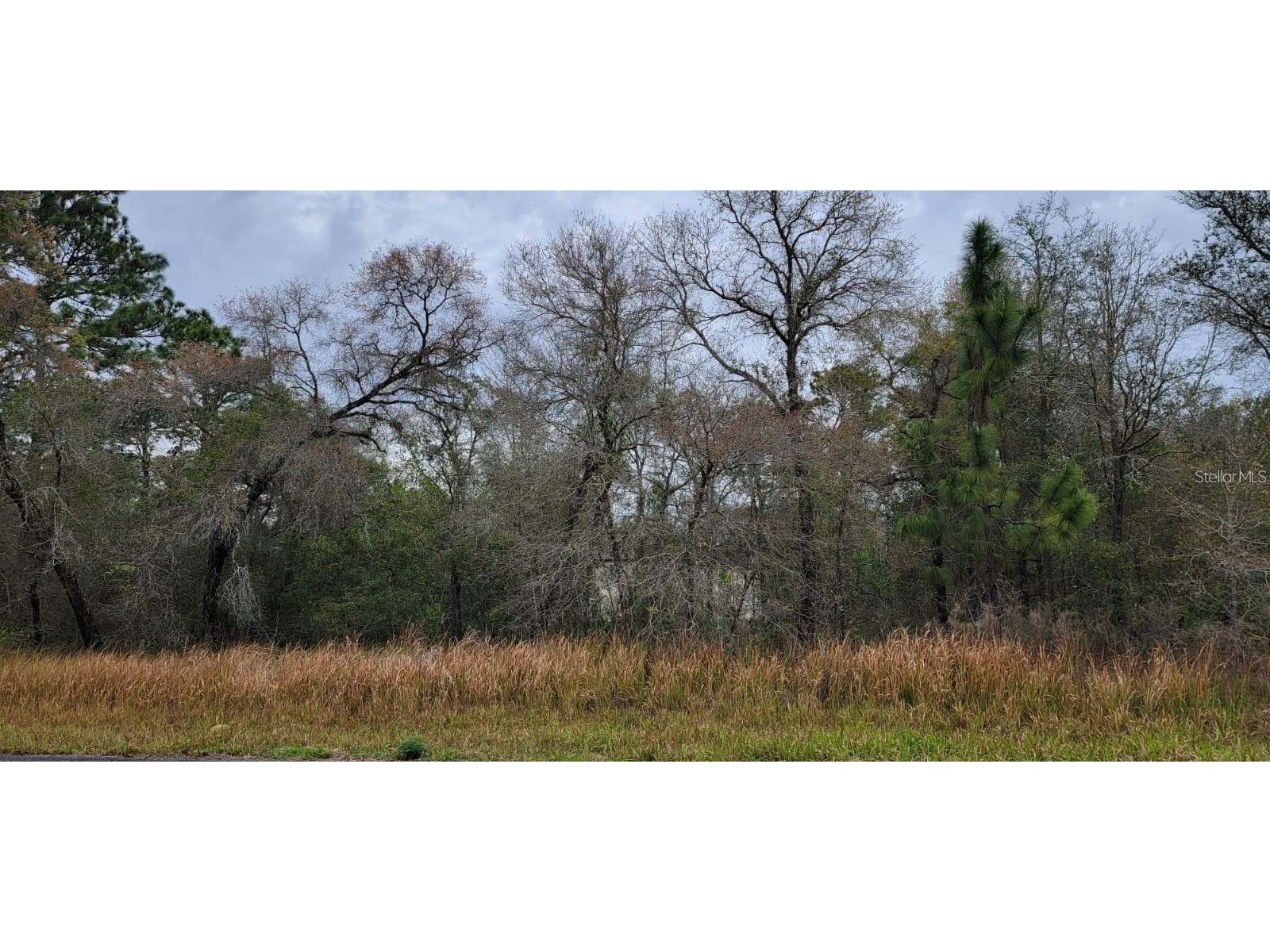 2809 W Fillmore Street Citrus Springs FL 34433 J946045 image1