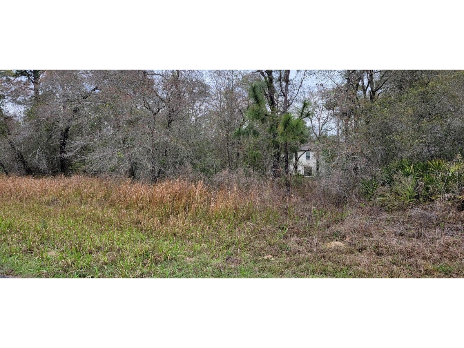 2809 W Fillmore Street Citrus Springs FL 34433 O6232857 image1