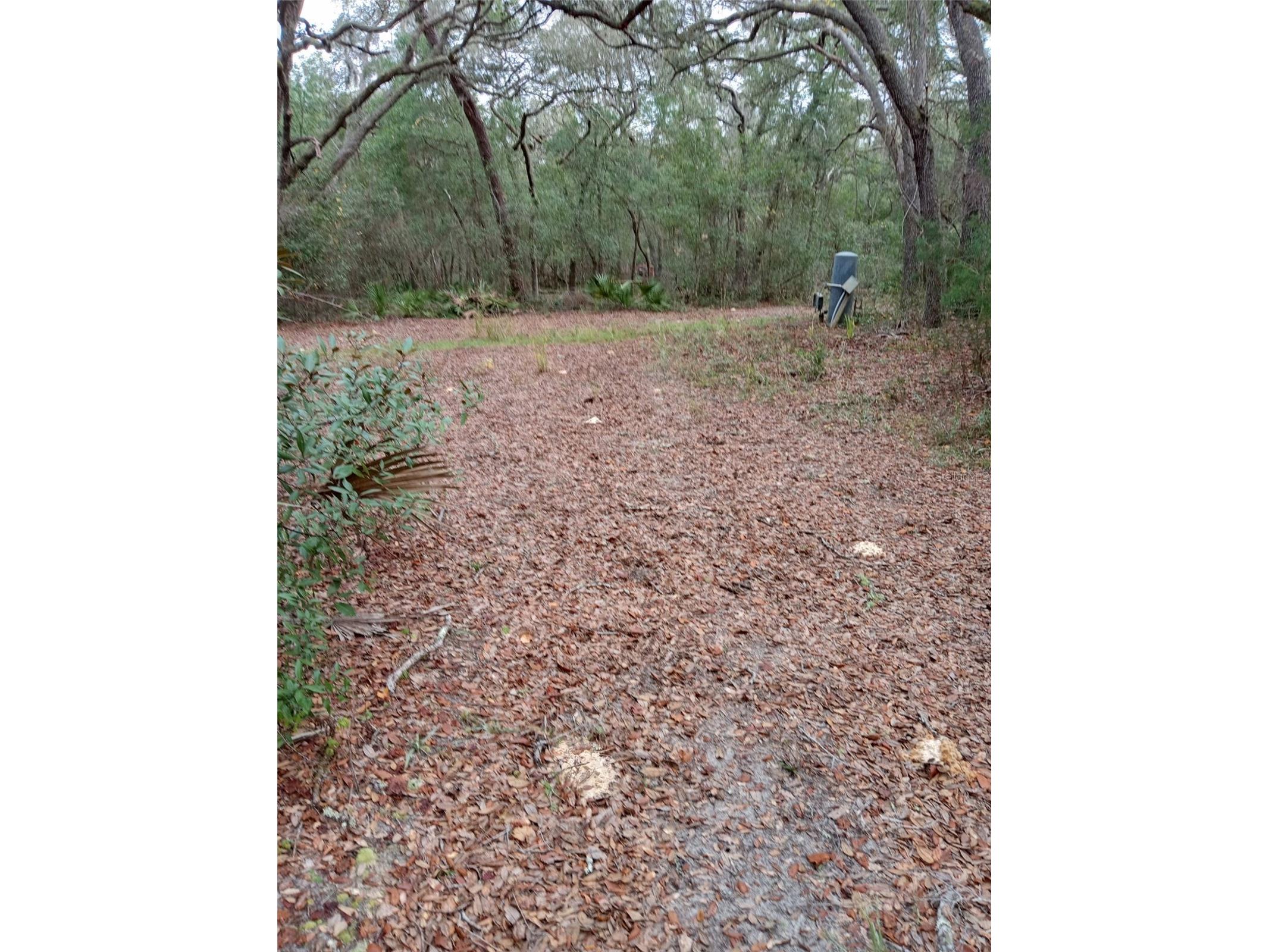 28093 SE Highway 42 Umatilla FL 32784 G5106506 image1