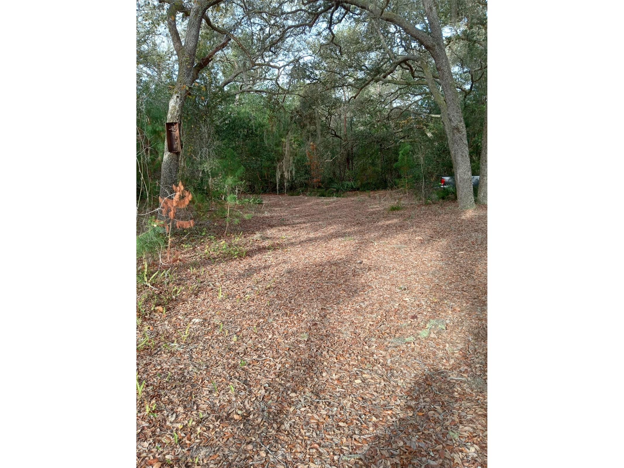 28093 SE Highway 42 Umatilla FL 32784 G5106506 image4