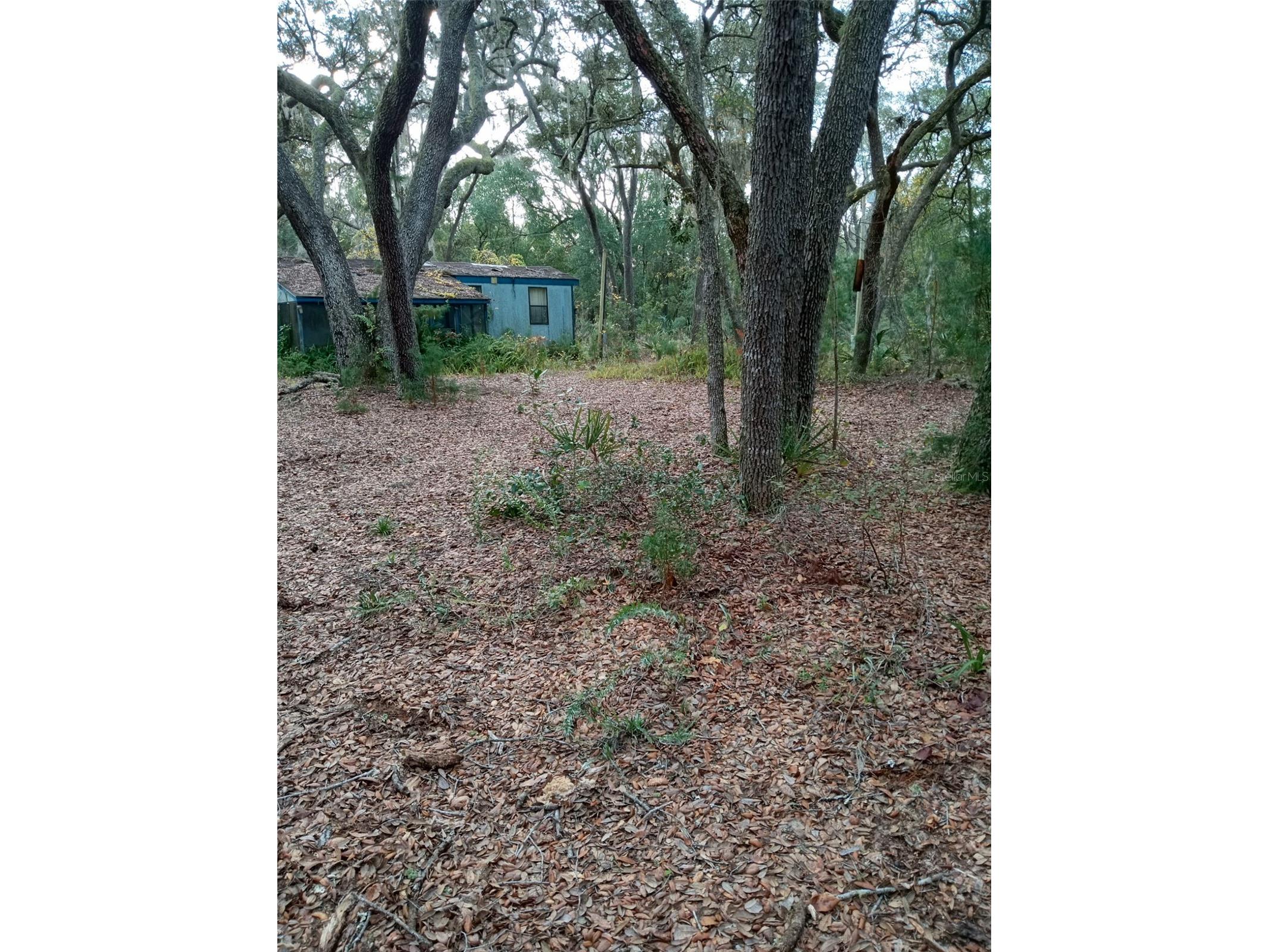 28093 SE Highway 42 Umatilla FL 32784 G5106506 image5