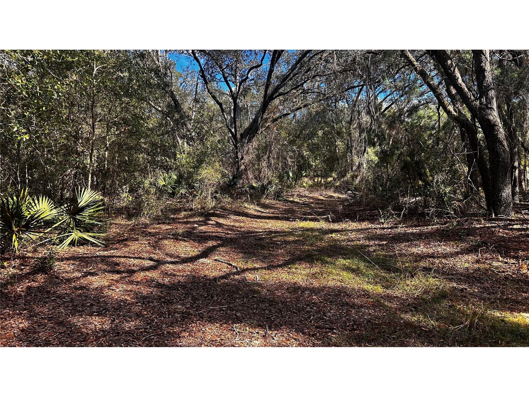 28093 SE Highway 42 Umatilla FL 32784 G5106506 image6