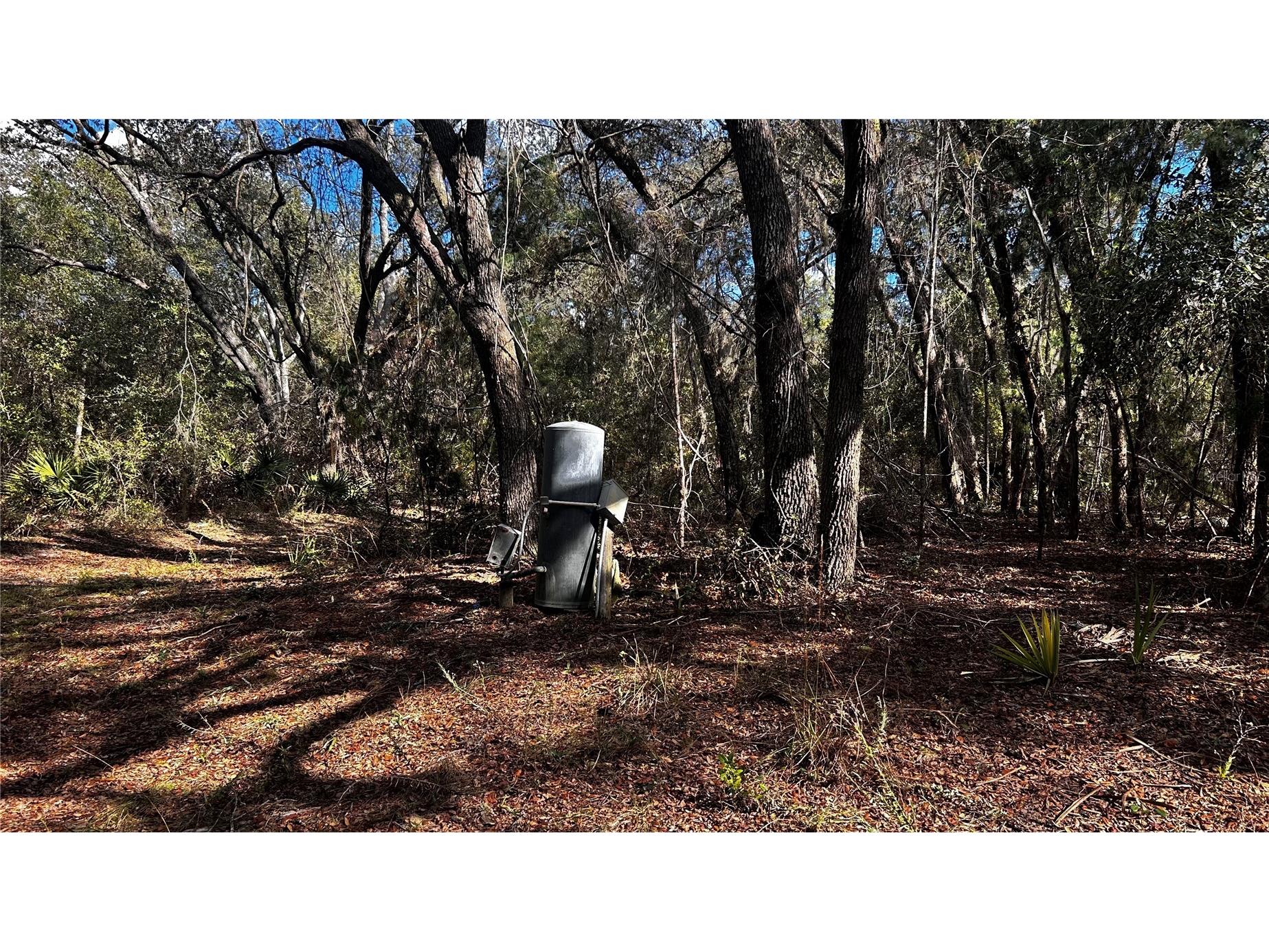 28093 SE Highway 42 Umatilla FL 32784 G5106506 image7