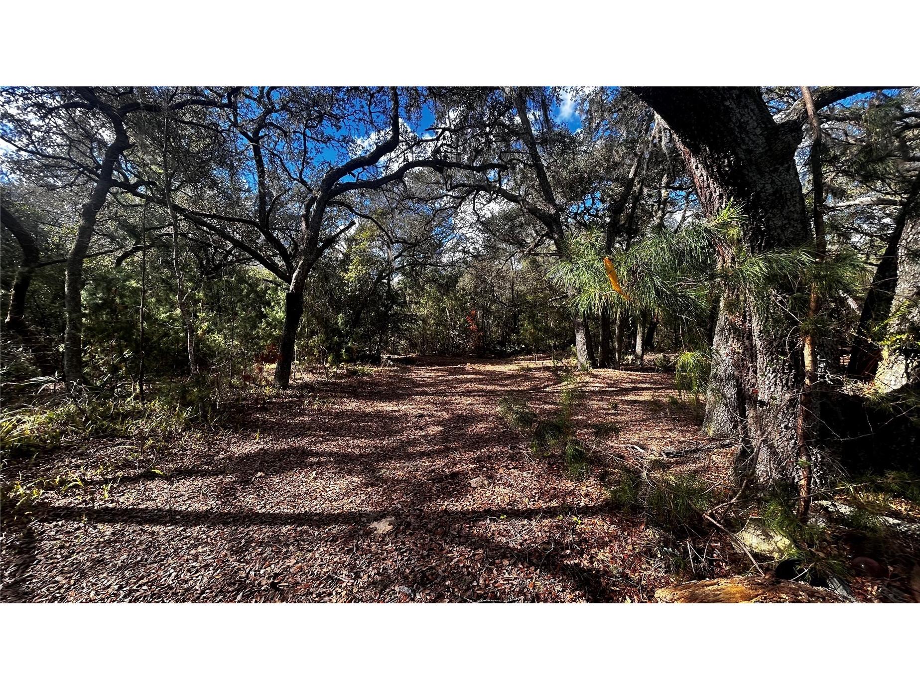 28093 SE Highway 42 Umatilla FL 32784 G5106506 image8