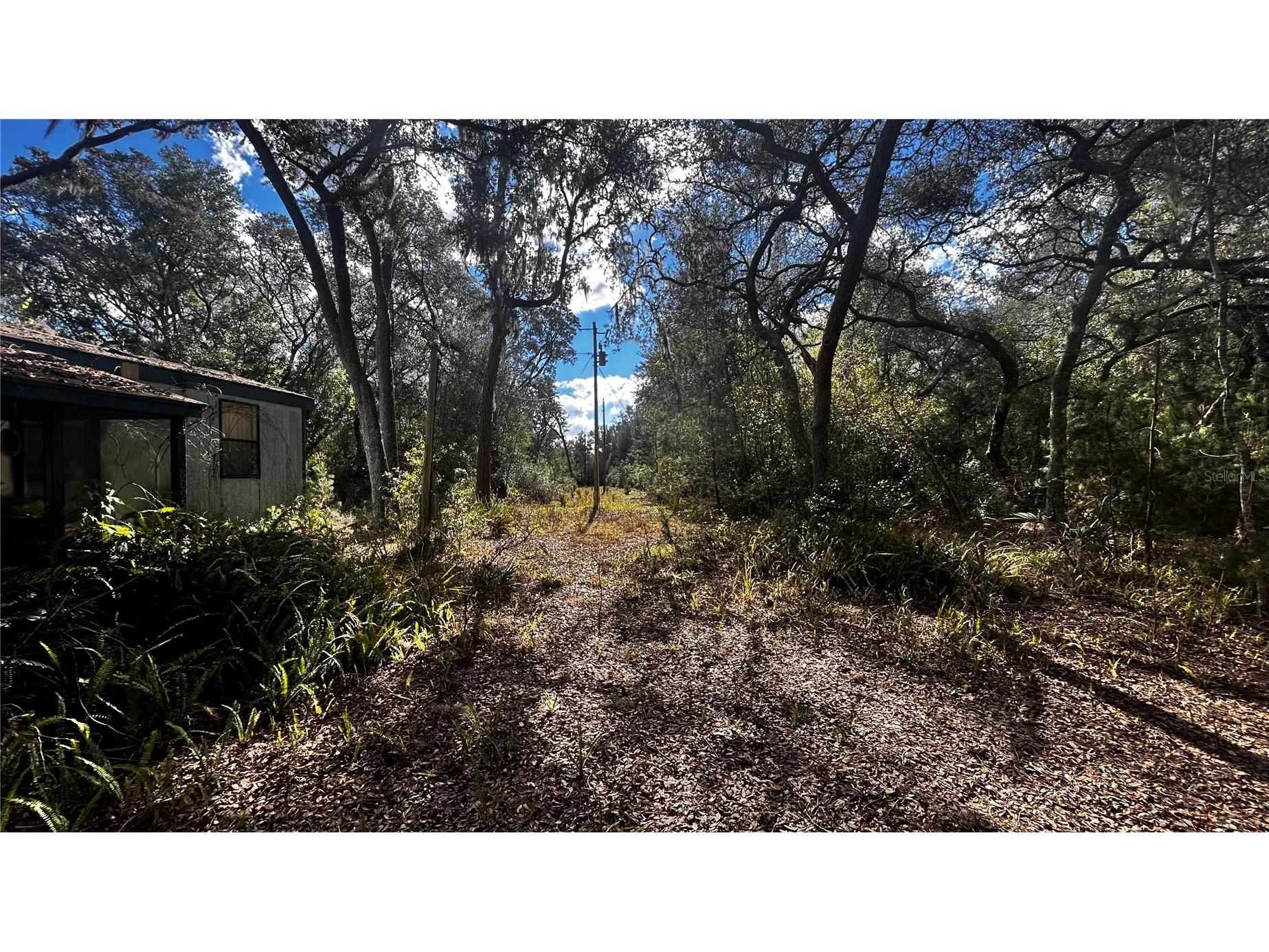 28093 SE Highway 42 Umatilla FL 32784 G5106506 image9