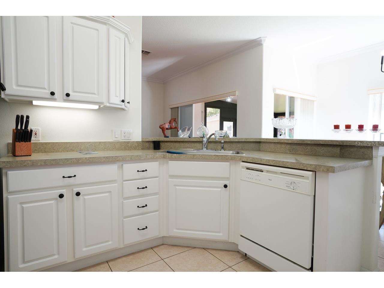 281 Crystal River Drive Kissimmee FL 34759 S5147219 image8