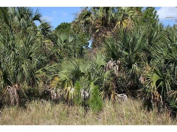 281 Farmington Street SW Palm Bay FL 32908 OM711879 image1