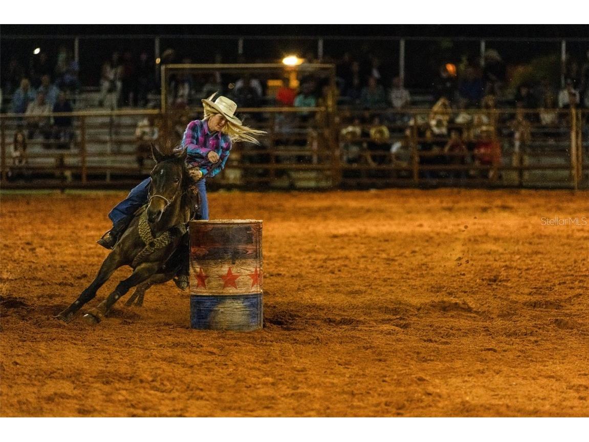 281 Foal Drive River Ranch FL 33867 TB8461797 image16