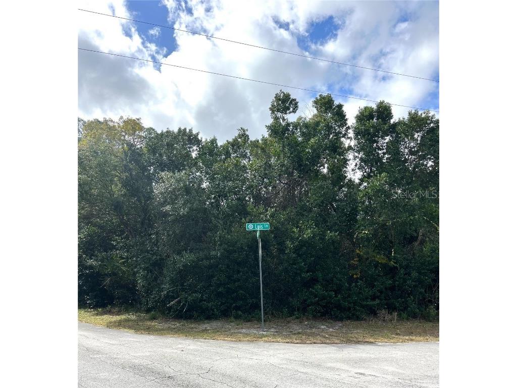 281 Luis Lane Debary FL 32713 O6173140 image1