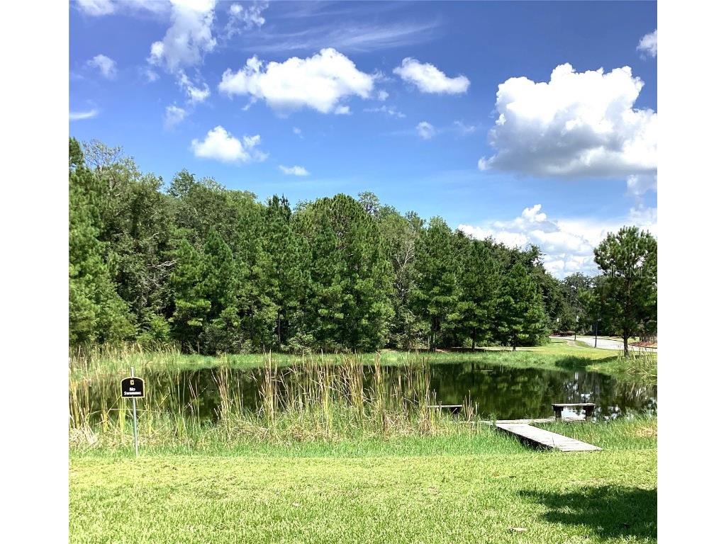 281 SW Silver Palm Drive Lake City FL 32024 GC535086 image9